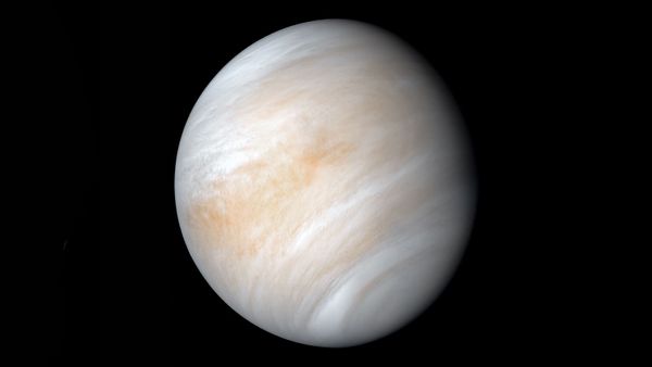 Possible "Signs of Alien Life" Discovered on Venus